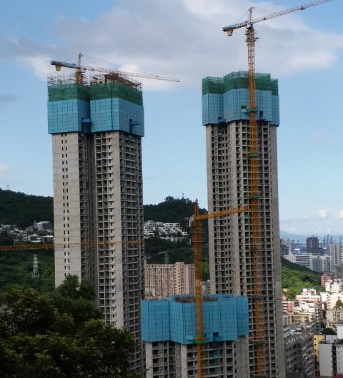 半山悅海爬架葫蘆案例